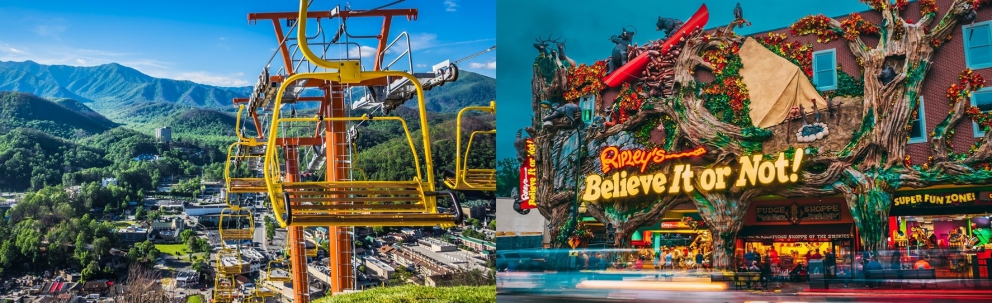 Picture of SkyPark + Ripley's Believe It or Not Combo